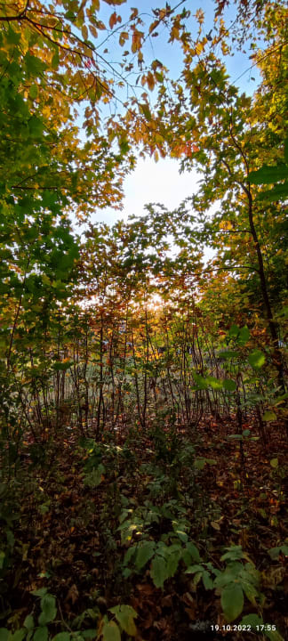 Ausblick Berghotel Hoher Knochen