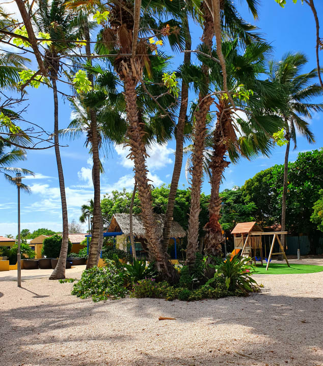 Gartenanlage Divi Flamingo Beach Resort