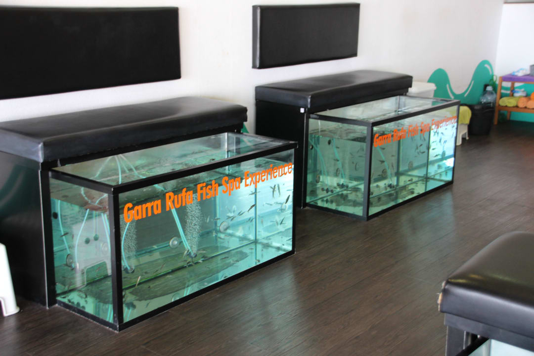 Tenerife - La Playa de las America 2015 H10 Las Palmeras