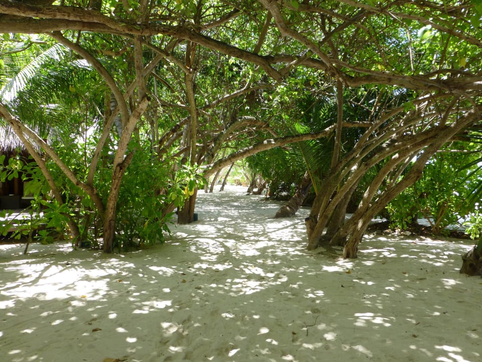 Wege Kuramathi Maldives