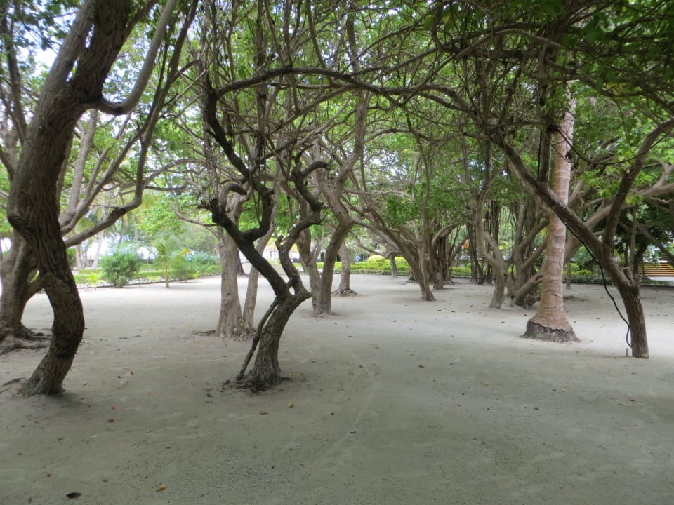 Die Wege wischen Rezeption und Boots-Anlegesteg Adaaran Select Hudhuran Fushi - Premium All Inclusive