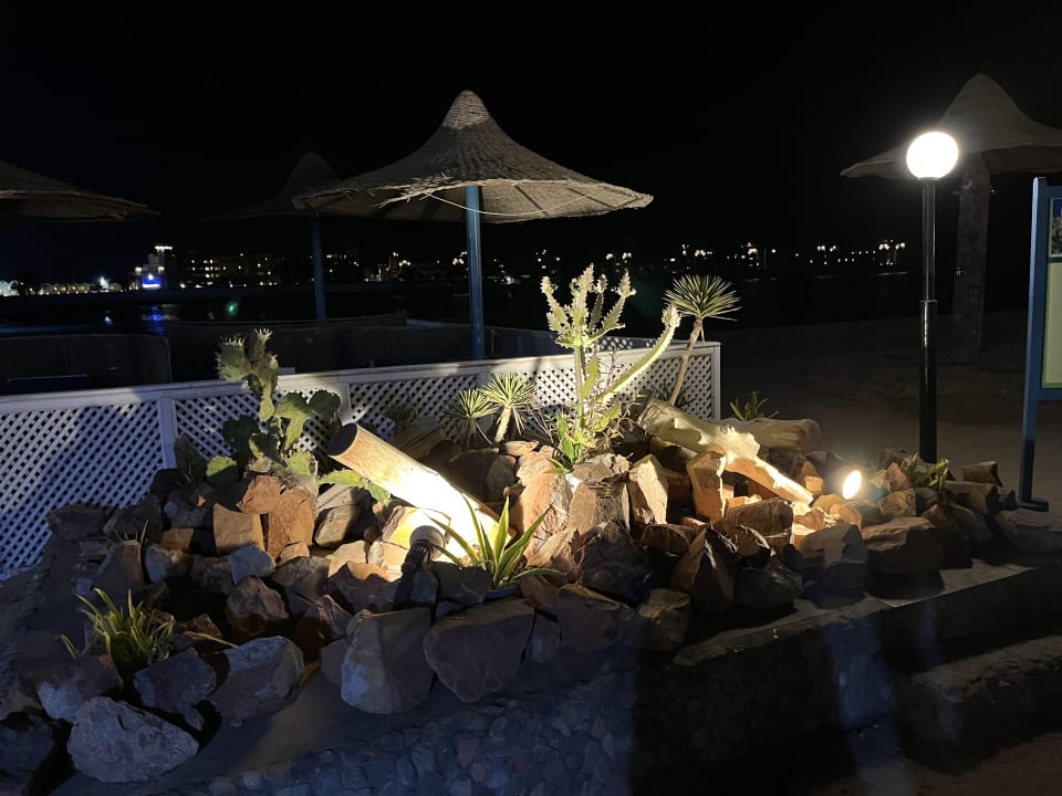 Außenansicht Arabia Azur Resort