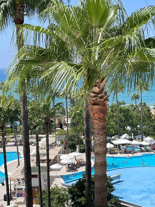 Pool Iz Flower Side Beach Hotel