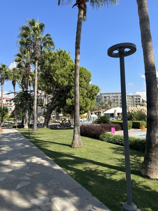 Gartenanlage Arum Barut Collection