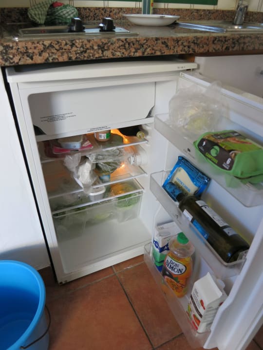 Kühlschrank Canary Garden Club