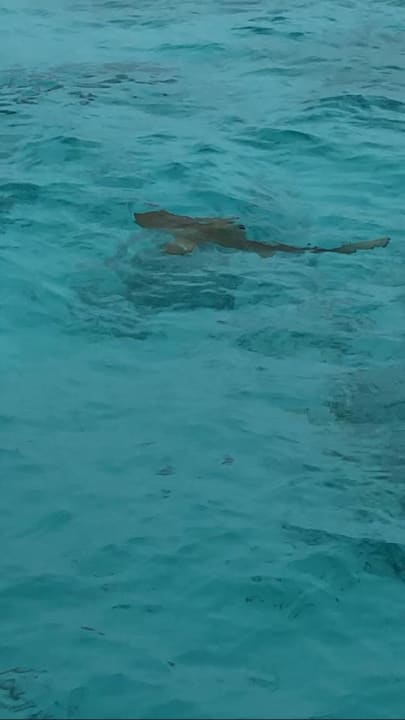 Sonstiges Thulhagiri Island Resort