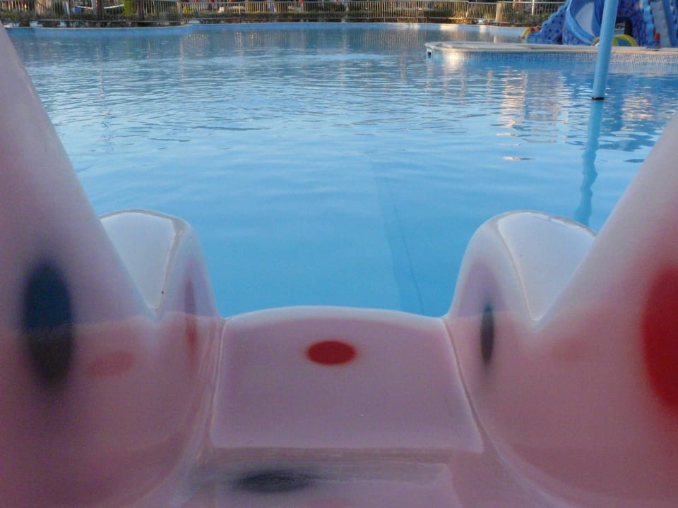 Pool Pickalbatros Palace Resort