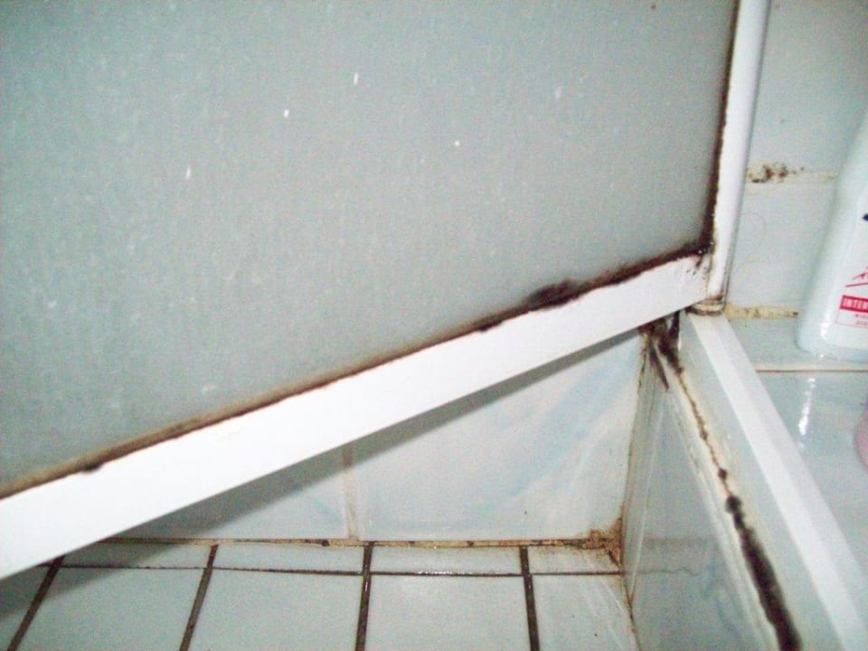 Duschtüre Schimmelbefall Hotel Mari
