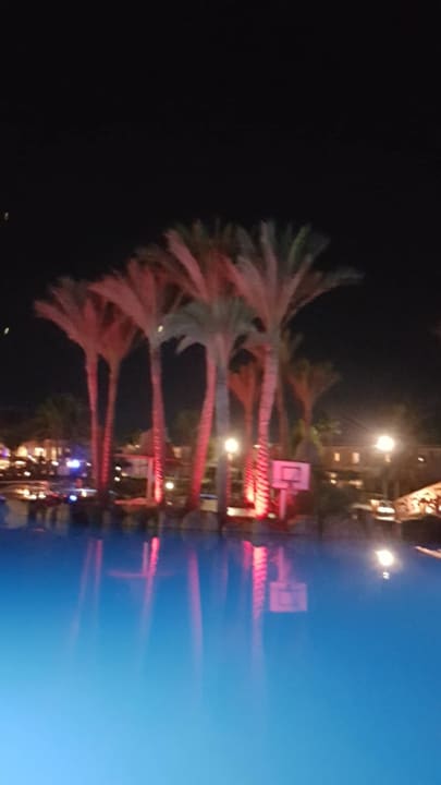 Pool Parrotel Beach Resort