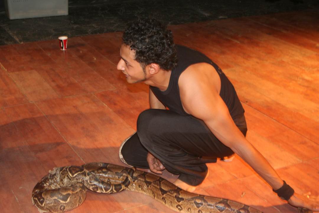 Cobra show Pickalbatros Alf Leila Wa Leila Resort - Neverland Hurghada