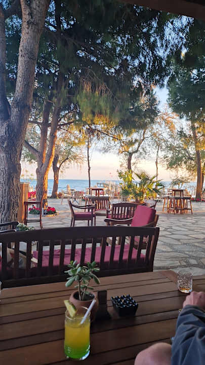 Gastro Arum Barut Collection