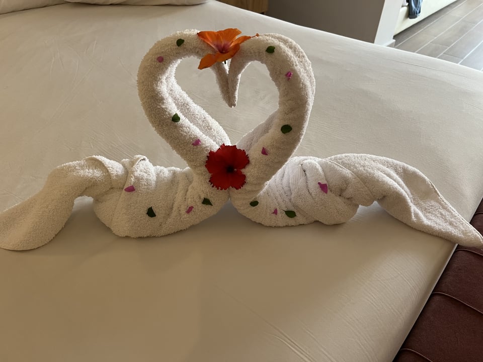 Zimmer Stella Beach Resort & Spa Makadi Bay