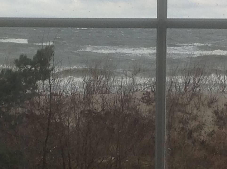 Blick durchs Fenster  Villa del Mar