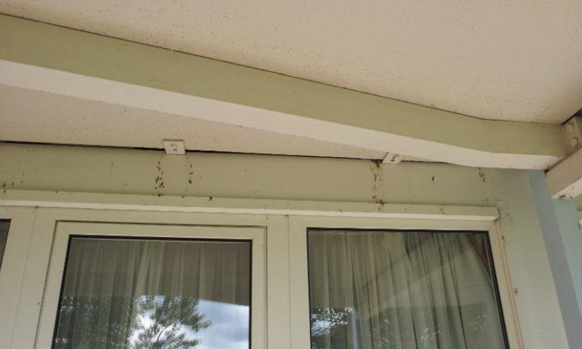 Apartments Ferienpark Weissenhäuser Strand Ferienwohnungen Ferienpark Weissenhäuser Strand