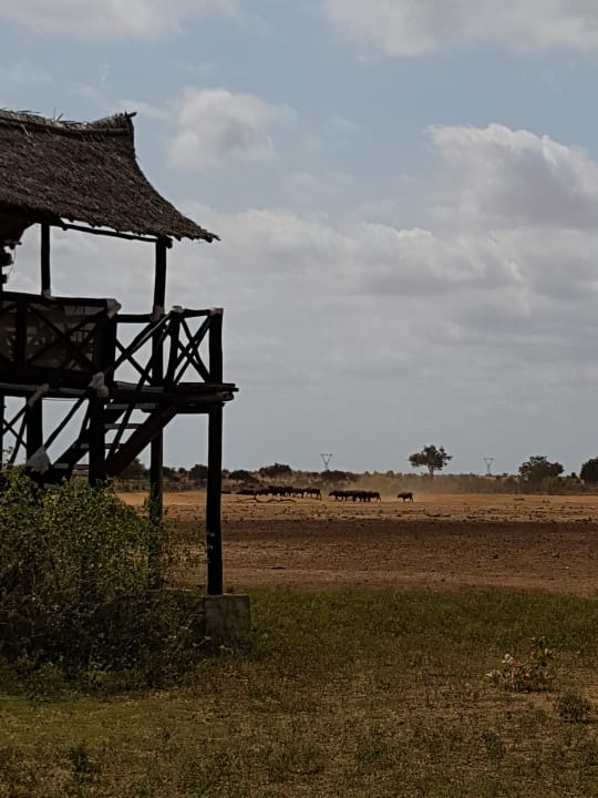 Aussichtsturm  Satao Camp