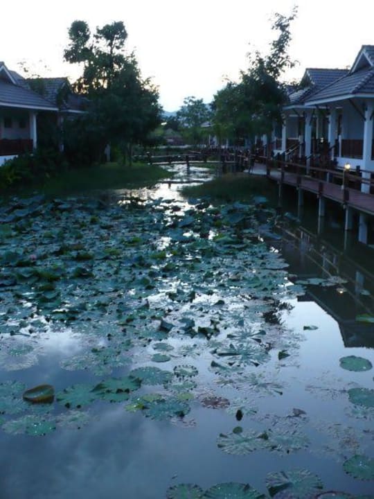 Aussicht von der Terrasse Hotel Le Charme Sukhothai Resort