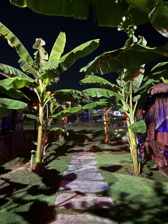 Gartenanlage VONRESORT Golden Coast