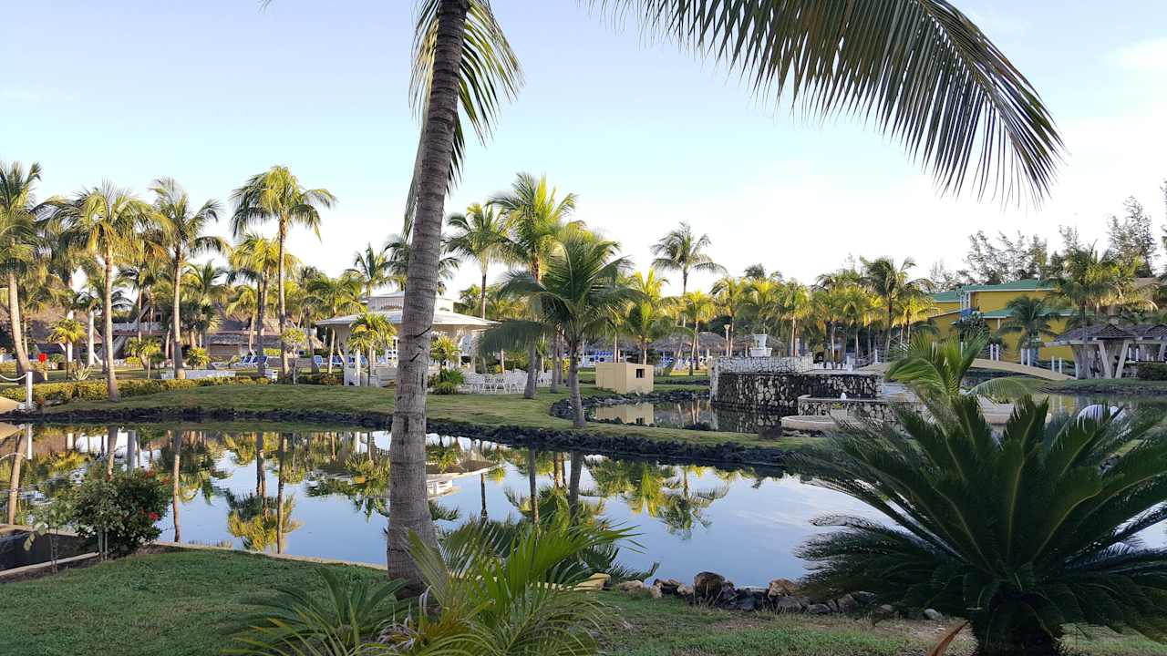 Ansichten und Details der Gartenanlage Melia Las Antillas - Adults only