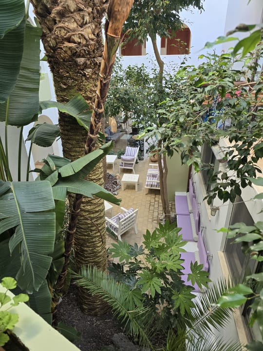 Gartenanlage Alianthos Garden Hotel