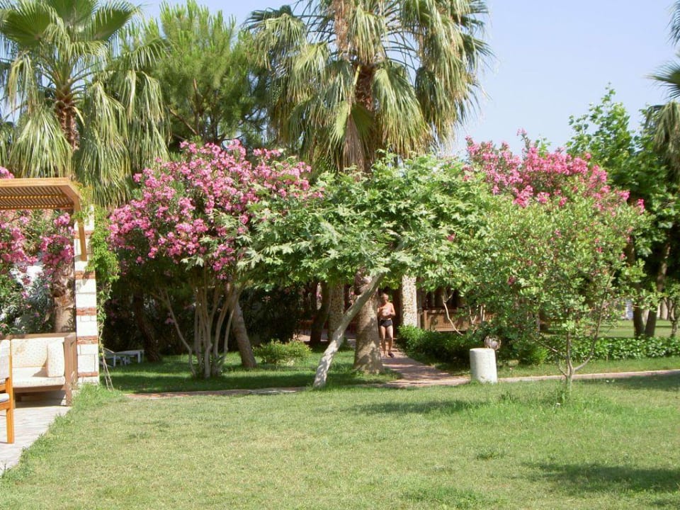 Gartenanlage Hotel Defne Star