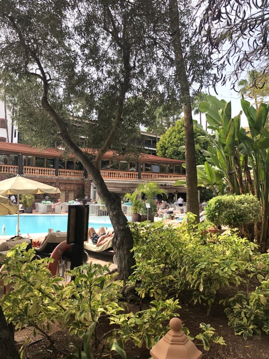 Gartenanlage Hotel Parque Tropical