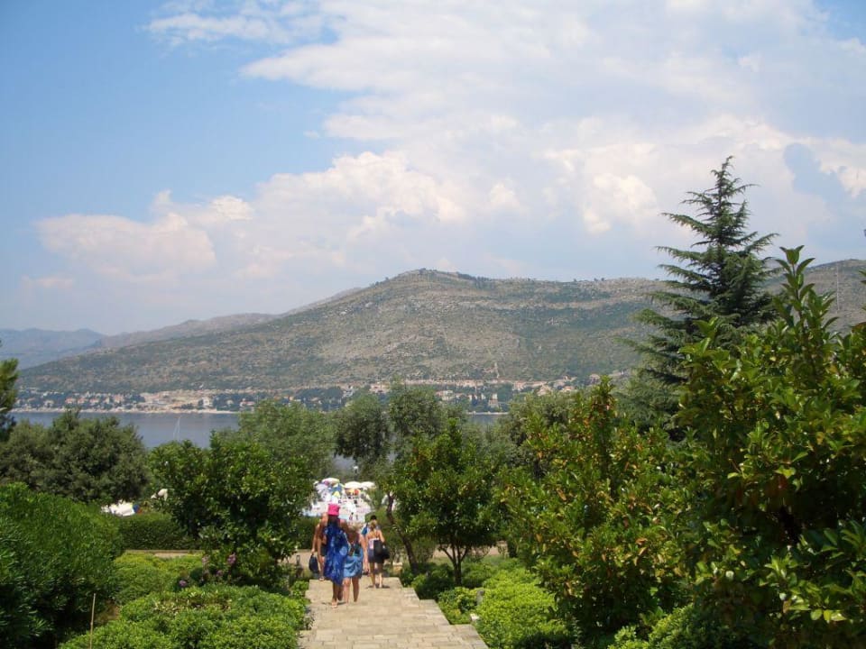 Gartenanlage des Hotels Sunny Dubrovnik by Valamar