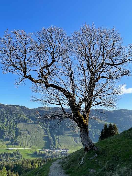 Ausblick HUBERTUS Mountain Refugio Allgäu