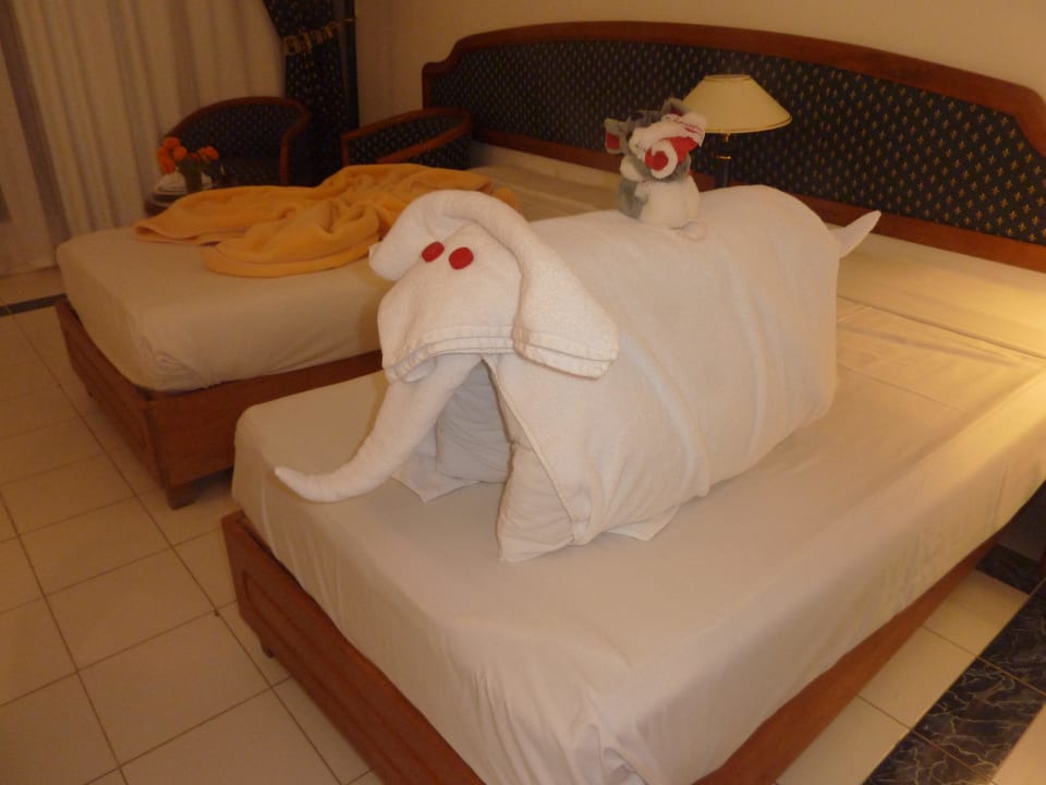 Ottifant Desert Rose