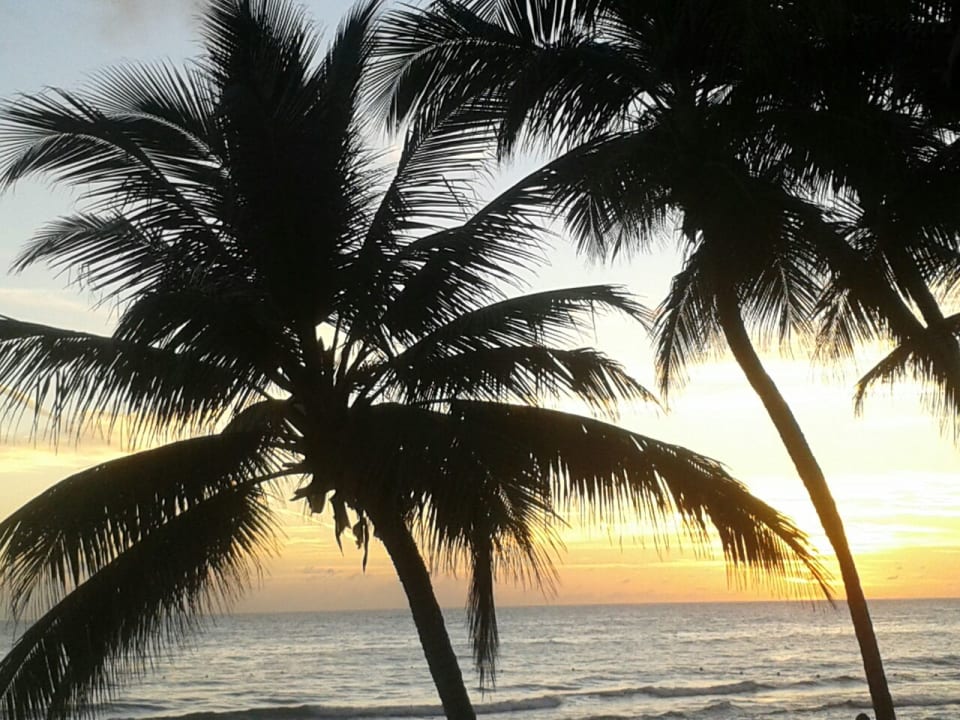 Ausblick Hotel Viva Dominicus Beach by Wyndham - All Inclusive Resort