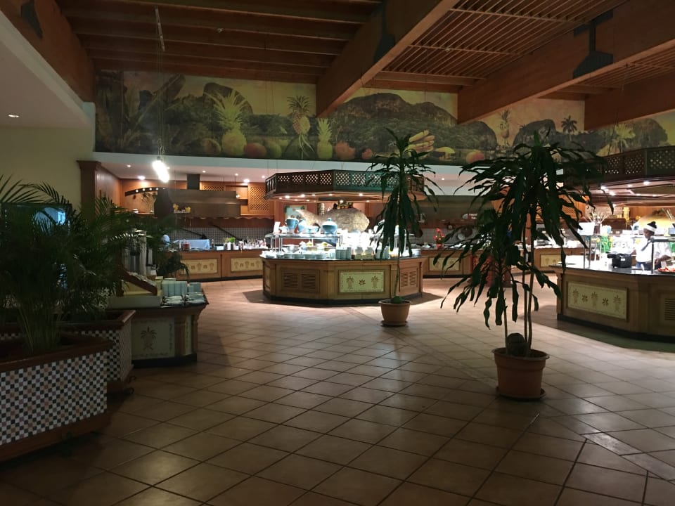 Gastro Blau varadero - Adults only