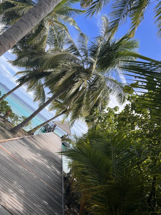 Gartenanlage Filitheyo Island Resort