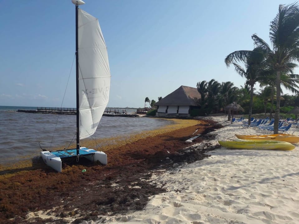 Strand BlueBay Grand Esmeralda