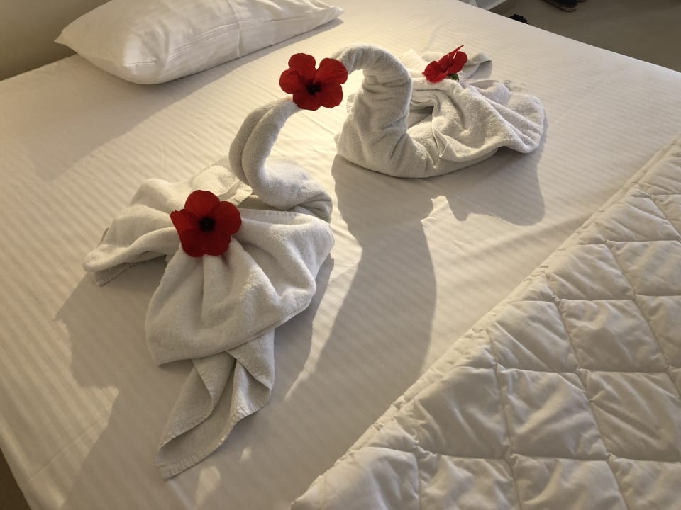 Zimmer Alexander Beach Hotel & Village Resort