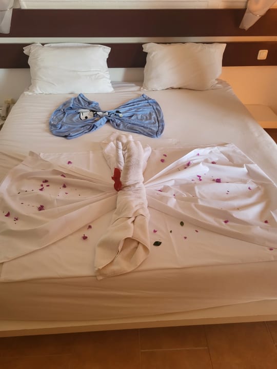 Zimmer Caribbean World Thalasso Djerba