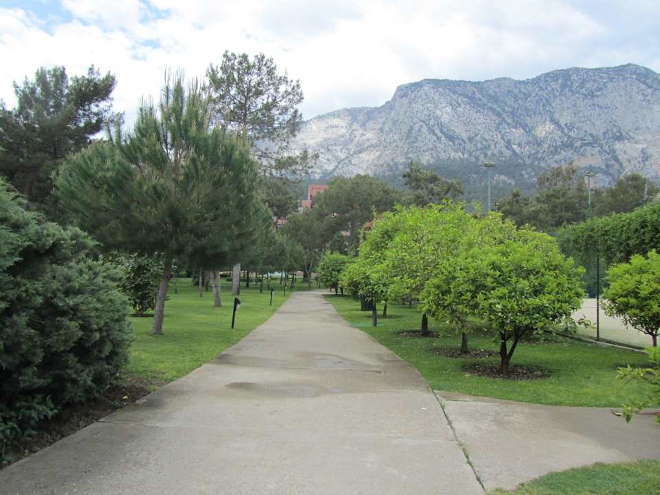 Paloma Renaissance Antalya Beach Resort & SPA Balmy Foresta