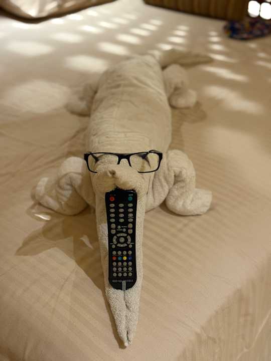 Zimmer Grand Waterworld Makadi & Family Star Makadi