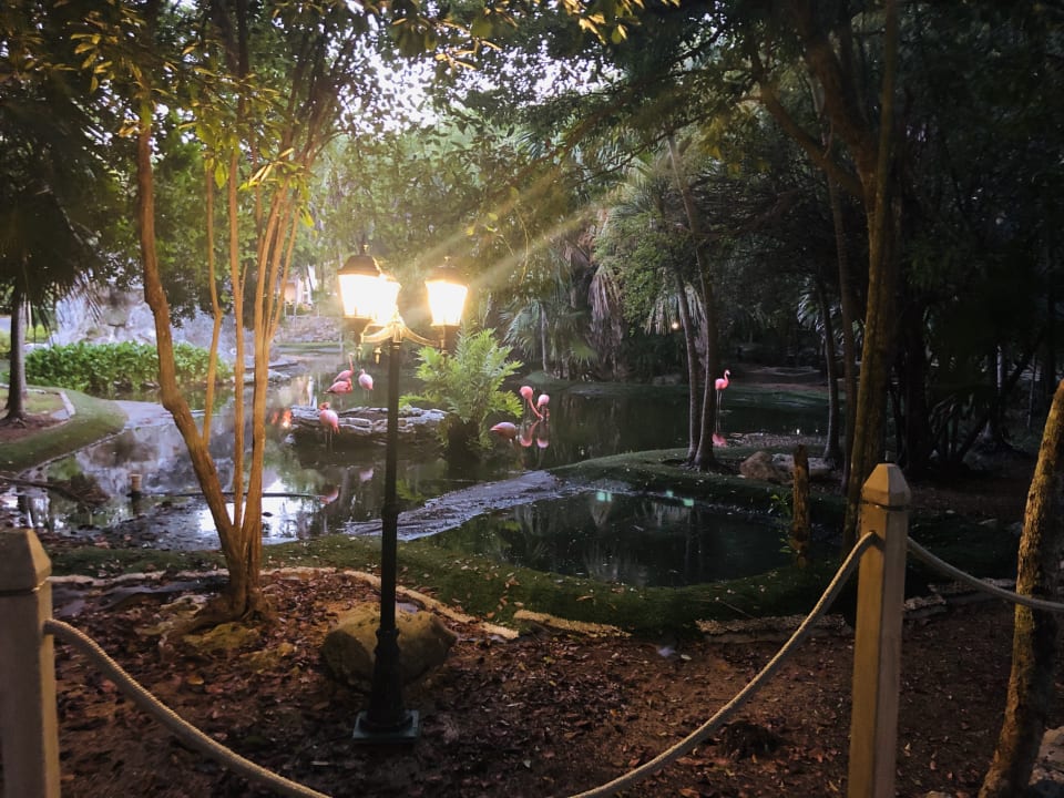 Gartenanlage Grand Palladium Kantenah Resort & Spa