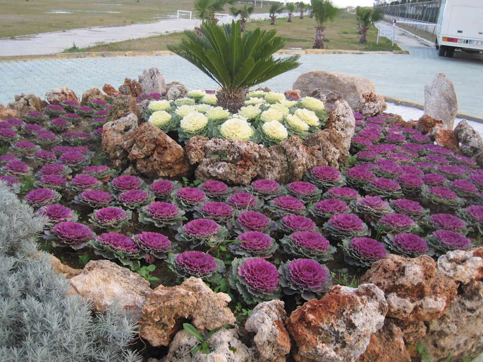 Delphin Imperial Hotel Delphin Imperial