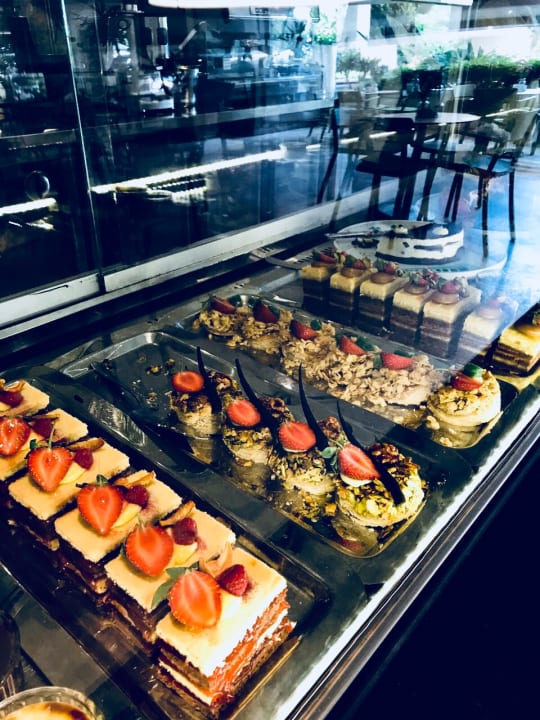 Gastro PALOMA Perissia