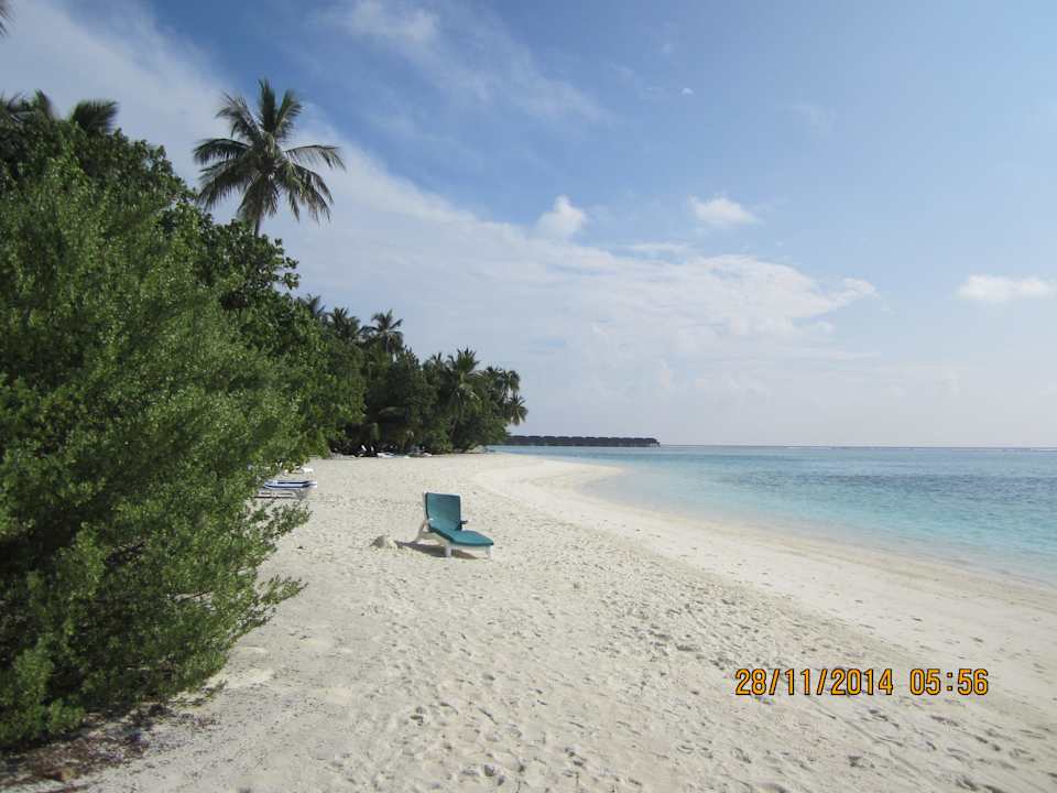 Voll ausgebucht und so sieht der Strand aus. Meeru Maldives Resort Island