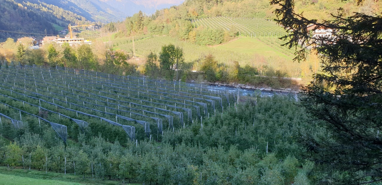 Zimmer Alpenhof Lodge Passeiertal