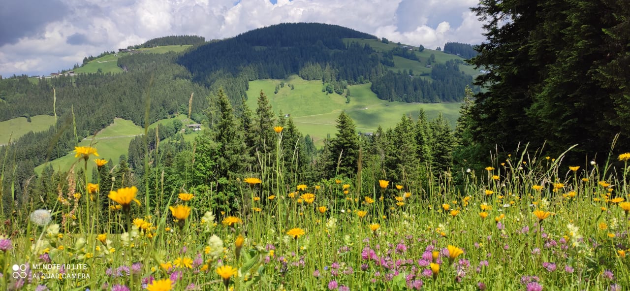 Ausblick FLORA - Das kleine Gartenhotel