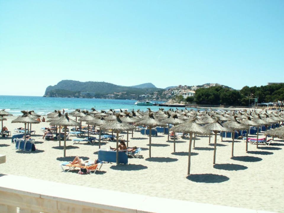 Strand II allsun Hotel Bella Paguera