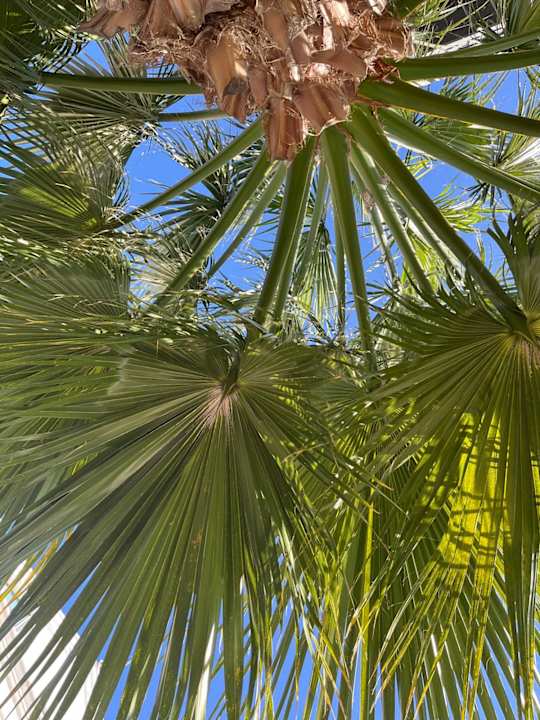 Pool Dream World Resort & Spa