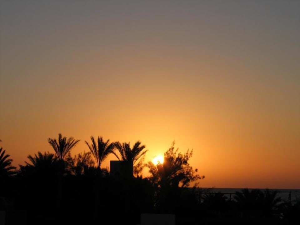 Sonnenaufgang SUNRISE Royal Makadi Resort