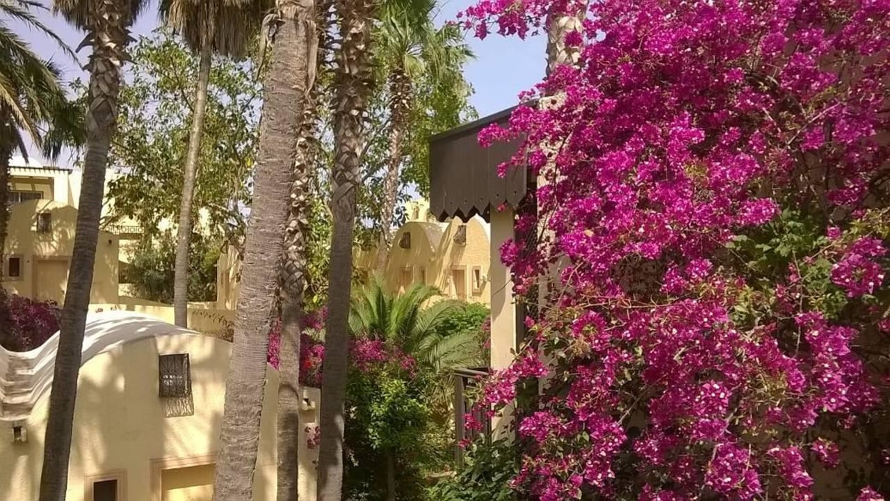 Gartenanlage bei den Bungalows Hotel Paradis Palace