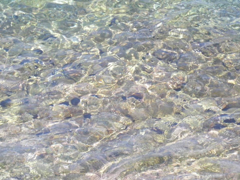 Es gab paar Seeigel im Wasser, Achtung! allsun Hotel Carolina Mare