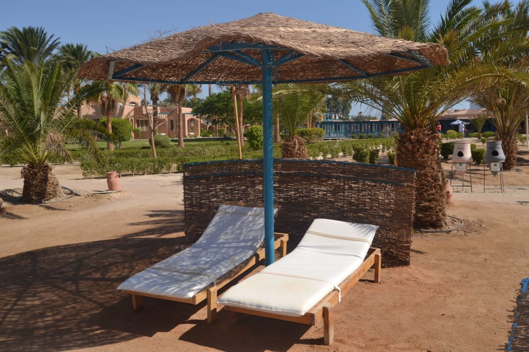 Liegenausstattung Club Paradisio El Gouna, Red Sea