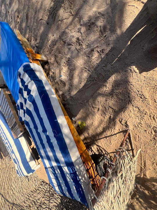 Pool Royal Star Beach Resort