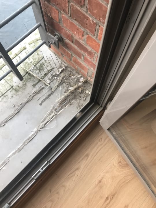 Zimmer Bergström Hotel Lüneburg